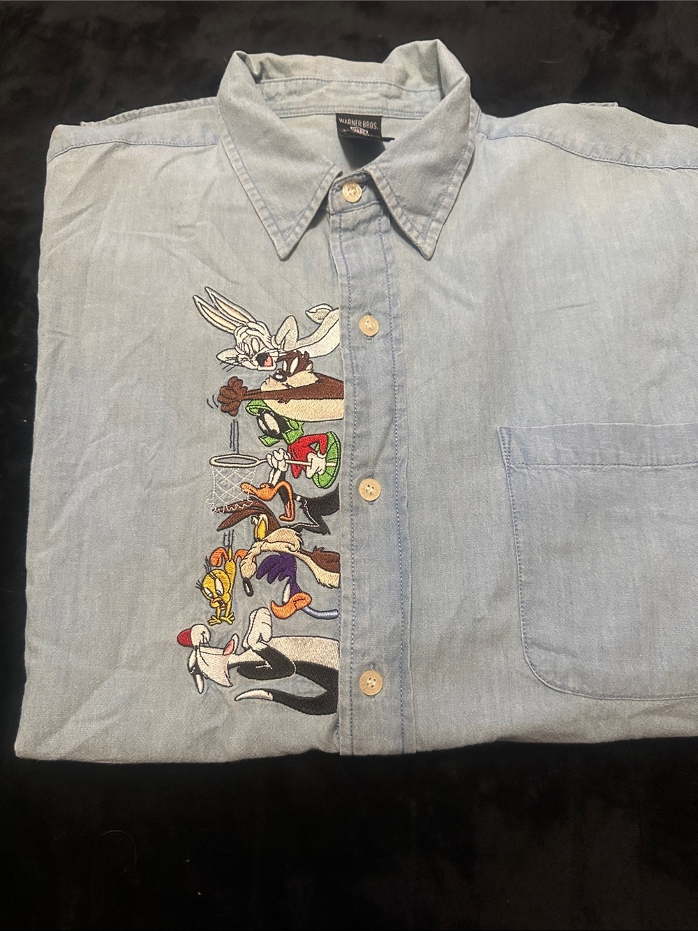 Warner Bros. Light Blue Denim Button-Down Shirt with Looney Tunes Embroidery